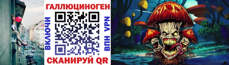 где купить   Златоуст  Псилоцибиновые грибы Cubensis 